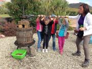 23_2017_vendemmia_scuola_svizzera_catania