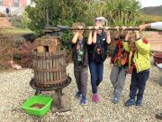 24_2017_vendemmia_scuola_svizzera_catania