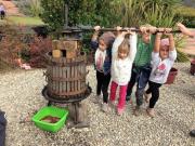 25_2017_vendemmia_scuola_svizzera_catania