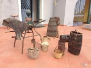 28_2017_vendemmia_scuola_svizzera_catania