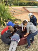 34_2017_vendemmia_scuola_svizzera_catania