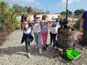 35_2017_vendemmia_scuola_svizzera_catania