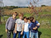 38_2017_vendemmia_scuola_svizzera_catania