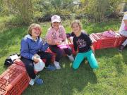 39_2017_vendemmia_scuola_svizzera_catania