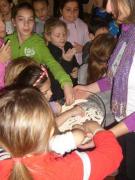 04_2014_gita_scuola_primaria_scuola_svizzera_catania