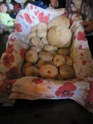 17_2014_gita_scuola_primaria_scuola_svizzera_catania