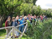 22_2014_gita_scuola_primaria_scuola_svizzera_catania