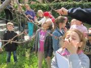 24_2014_gita_scuola_primaria_scuola_svizzera_catania