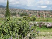 25_2014_gita_scuola_primaria_scuola_svizzera_catania