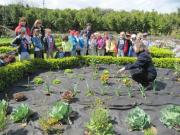 26_2014_gita_scuola_primaria_scuola_svizzera_catania