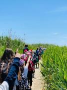 07_2019_vendicari_maggio_scuola_svizzera_catania