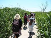 08_2019_vendicari_maggio_scuola_svizzera_catania