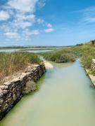 11_2019_vendicari_maggio_scuola_svizzera_catania