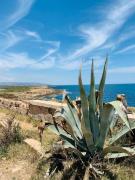 30_2019_vendicari_maggio_scuola_svizzera_catania