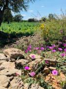 47_2019_vendicari_maggio_scuola_svizzera_catania