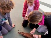 1_2020_accendere_il_fuoco_3a_4a_scuola_svizzera_catania