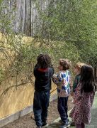 120252026pasqua-ostern