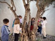 420252026pasqua-ostern